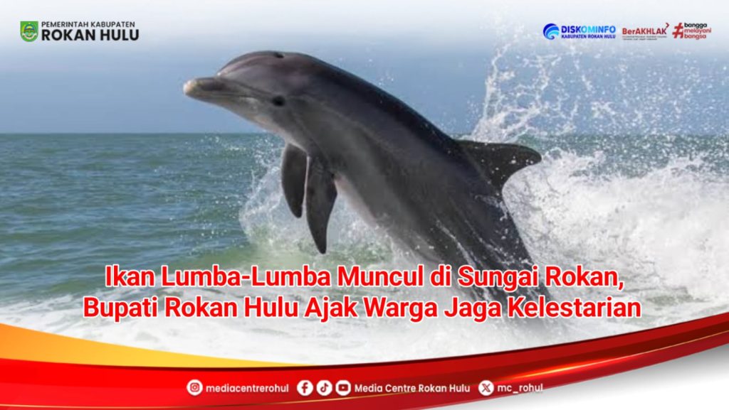 Pesut Mahakam Muncul di Sungai Rokan, Bupati Rokan Hulu Ajak Warga Jaga Kelestariannya