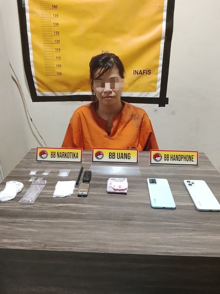 Satresnarkoba Polres Inhil Amankan Seorang Wanita Pengedar Shabu dan Ekstasi