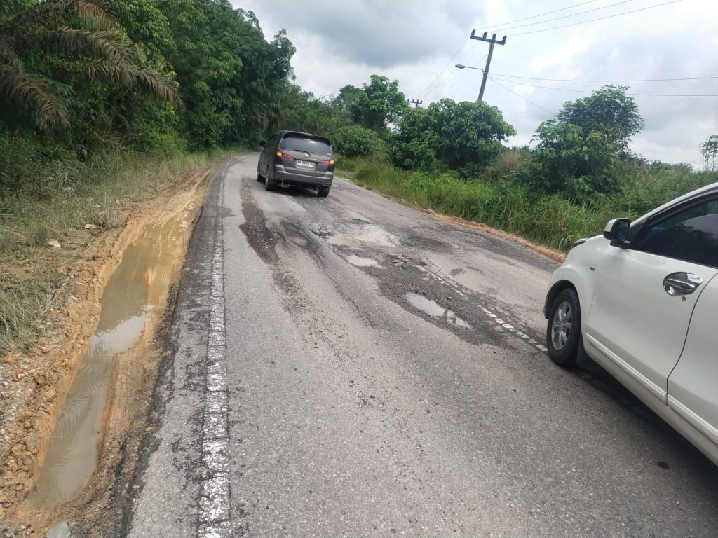 Jalan Lintas Perawang Menuju Pekanbaru Jalur PT Sir Rusak Parah, Warga Minta Penegakan Hukum Terhadap Truk Bermuatan Berlebih