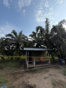 Kasus Dugaan Pembunuhan di Kebun Sawit Desa Pancur, Satu Orang Ditemukan Tewas