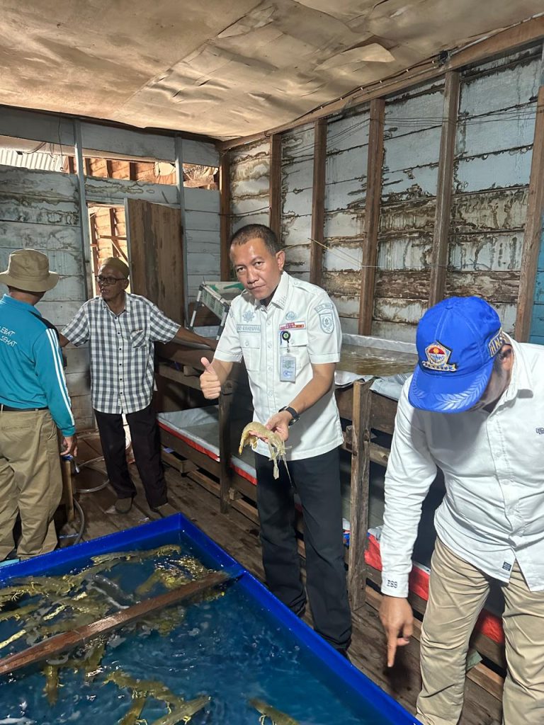 Udang Nenek, Potensi Emas Pesisir Inhil Dukung Visi Ekonomi Daerah