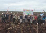 Polsek Tualang Tanam Jagung 5 Hektare, Dukung Program Presiden Wujudkan Swasembada Pangan 2026