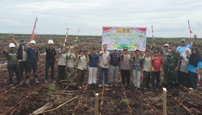 Polsek Tualang Tanam Jagung 5 Hektare, Dukung Program Presiden Wujudkan Swasembada Pangan 2026