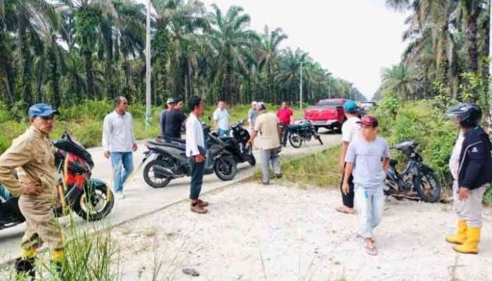 Kelompok Tani Kuala Mahato Tolak Klaim Tanah Ulayat Rantau Kasai, Minta Aktivitas di Kebun Plasma Dihentikan