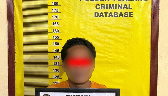 Polsek Tualang Amankan Pencuri 27 Tandan Sawit Milik PT SIR, Dua Pelaku Lain DPO