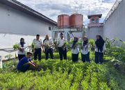 Ketahanan Pangan Berkelanjutan, Lapas Tembilahan Kembali Panen Kangkung 40 Kg