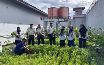 Ketahanan Pangan Berkelanjutan, Lapas Tembilahan Kembali Panen Kangkung 40 Kg