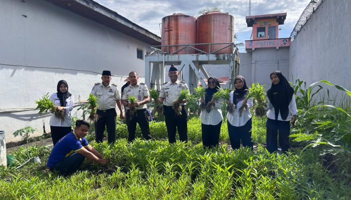 Ketahanan Pangan Berkelanjutan, Lapas Tembilahan Kembali Panen Kangkung 40 Kg