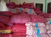 Balai Karantina dan Aparat Perkuat Sinergi, Pemusnahan Barang Masih Menunggu Arahan Pusat.