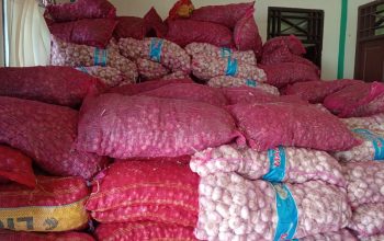 Balai Karantina dan Aparat Perkuat Sinergi, Pemusnahan Barang Masih Menunggu Arahan Pusat.