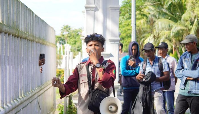 Penanganan Fluktuasi Harga Kelapa Inhil Masih Reaktif dan Tidak Berkelanjutan