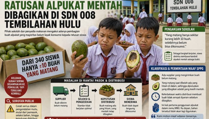Kepsek Akui, SPPG Minta Maaf: Ratusan Alpukat Mentah Dibagikan di SDN 008 Tembilahan Hulu