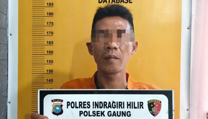Polsek Gaung Ungkap Kasus Narkotika, Kurir Sabu 9,05 Gram Diamankan di Pelabuhan Lahang Baru