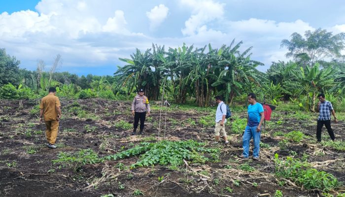 Bhabinkamtibmas Air Tawar Tinjau Lahan Jagung, Siap Dukung Program Ketahanan Pangan
