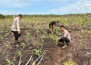 Polsek Mandah ,Polres Inhil Siap Mendukung Program Asta Cita Presiden Republik Indonesia Melalui Ketahanan Pangan