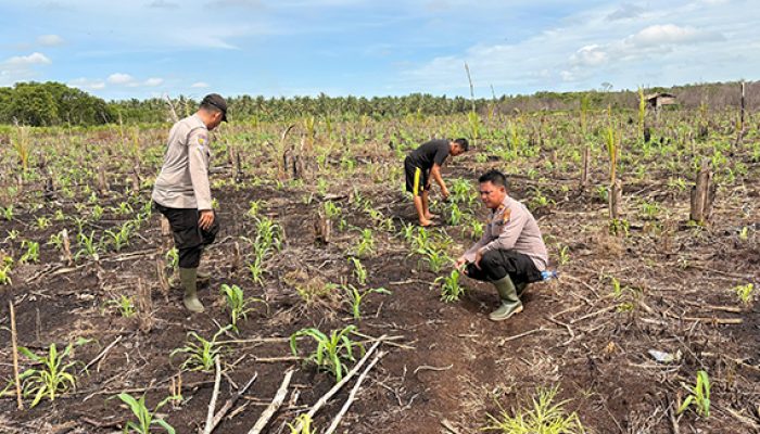 Polsek Mandah ,Polres Inhil Siap Mendukung Program Asta Cita Presiden Republik Indonesia Melalui Ketahanan Pangan