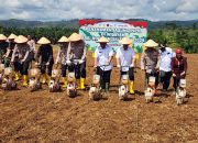 “Wakapolda Riau Pimpin Penanaman Jagung di Rokan Hulu dan Tegaskan Strategi Polri Hadapi Tantangan Era Digital