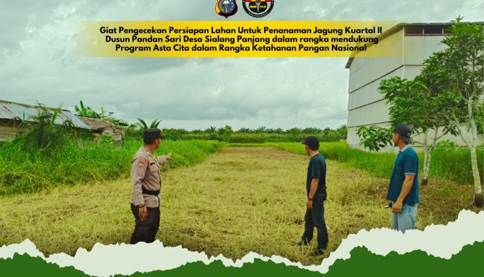 Dukung Ketahanan Pangan , Polsek Tembilahan Hulu Cek Kesiapan Lahan Jagung Kuartal II di Desa Pulau Palas