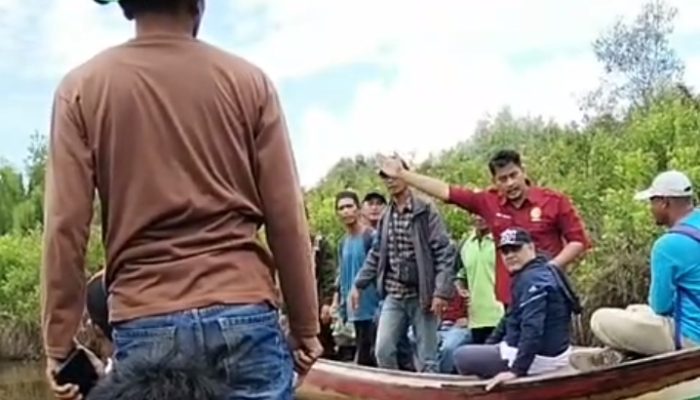 Diduga Garap Hutan Mangrove Jadi Sawit, PT RSA dan Kades Batang Sari Intervensi Mitra Kerja PT Agrinas Palma Nusantara
