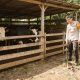 Bhabinkamtibmas Polsek Sungai Batang Sambangi Peternak Sapi, Dorong Ketahanan Pangan