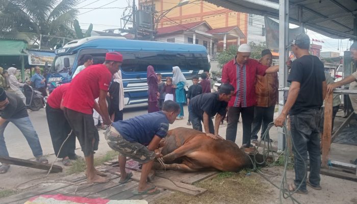 Semangat Gotong Royong, Warga RT 14 RW 04 Batang Tuaka Tembilahan Sembelih 3 Hewan Qurban