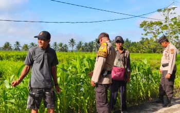 Polsek Sungai Batang Aktif Dampingi Warga, Dukung Swasembada Ketahanan Pangan di Kecamatan Sungai Batang
