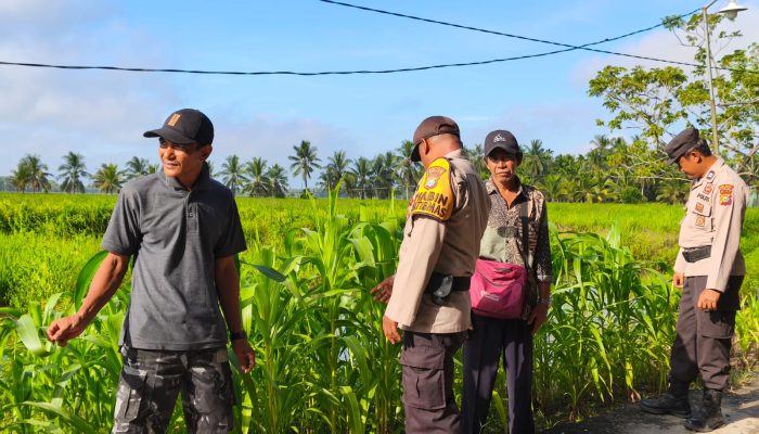Polsek Sungai Batang Aktif Dampingi Warga, Dukung Swasembada Ketahanan Pangan di Kecamatan Sungai Batang