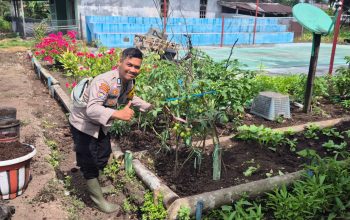 Bhabinkamtibmas Polsek Pelangiran Pantau Perkembangan Tanaman Terong dan Cabai di Desa Tagagiri Tama Jaya
