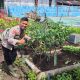 Bhabinkamtibmas Polsek Pelangiran Pantau Perkembangan Tanaman Terong dan Cabai di Desa Tagagiri Tama Jaya
