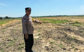 2 Hektare Lahan di PT SIR Disiapkan untuk Mendukung Ketahanan Pangan