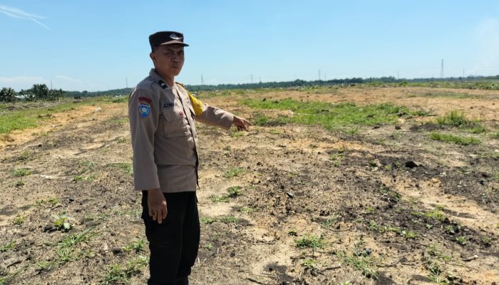 2 Hektare Lahan di PT SIR Disiapkan untuk Mendukung Ketahanan Pangan