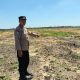 2 Hektare Lahan di PT SIR Disiapkan untuk Mendukung Ketahanan Pangan