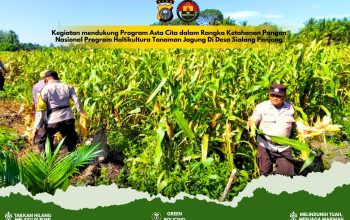 Gelar Penanaman Jagung Serentak di Desa Pulau Palas demi Dukung Swasembada Pangan