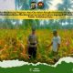 Dukung Asta Cita, Polsek Tembilahan Hulu Pantau Kesiapan Panen Jagung di Pekan Kamis