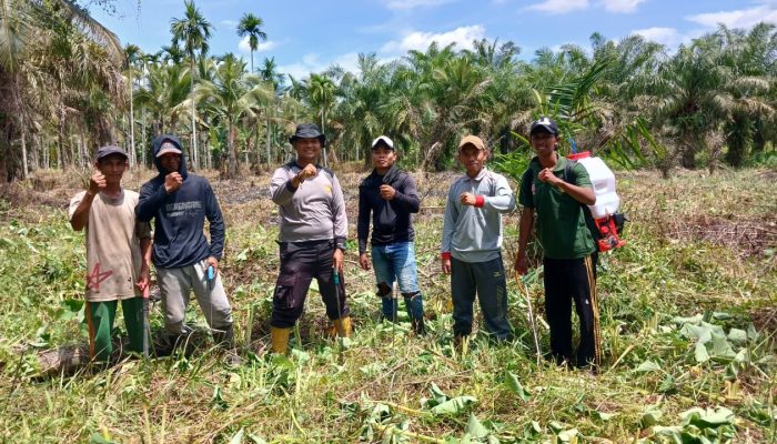 Dukung Swasembada Pangan, Polsek Tembilahan Hulu Pantau Kesiapan Lahan Jagung di Dua Desa