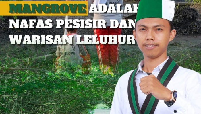 HMI Cabang Tembilahan Minta APH Usut Tuntas Dugaan Penguasaan Kawasan Mangrove di Mandah oleh PT RSA