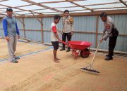 Kanit Samapta Polsek Sungai Batang dan Babinkamtibmas Benteng Utara Sambangi Petani Jemur Padi