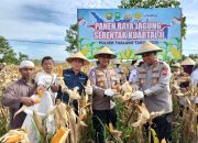 Panen Raya Jagung Kuartal II Tahun 2026, Polres Siak Dukung Swasembada Pangan di Kecamatan Tualang