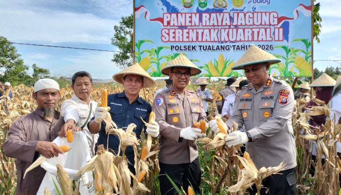 Panen Raya Jagung Kuartal II Tahun 2026, Polres Siak Dukung Swasembada Pangan di Kecamatan Tualang