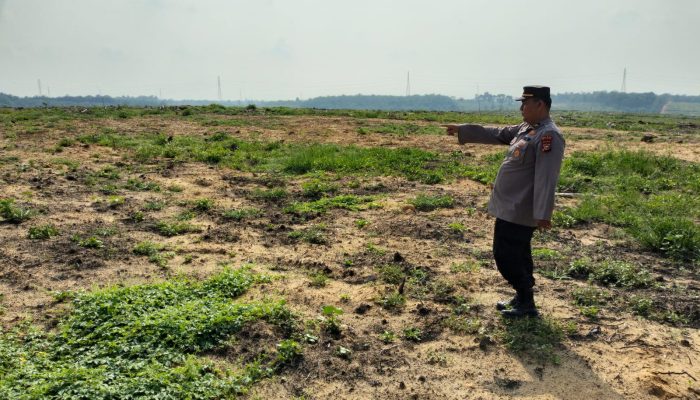 Pengecekan Lahan PT SIR untuk Penanaman Jagung Kuartal II Tahun 2026, Wujud Dukungan Ketahanan Pangan di Kecamatan Tualang