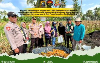 Dukung Asta Cita Presiden, Polsek Tembilahan Hulu dan BUMDes Gelar Panen Jagung untuk Ketahanan Pangan