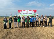 Polsek Tualang Gandeng PT. SIR Tanam Jagung Kuartal II. Dukung Ketahanan Pangan Nasional