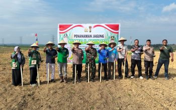 Polsek Tualang Gandeng PT. SIR Tanam Jagung Kuartal II. Dukung Ketahanan Pangan Nasional