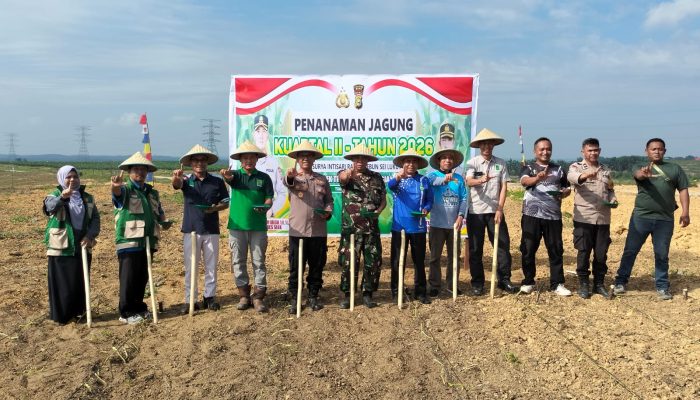 Polsek Tualang Gandeng PT. SIR Tanam Jagung Kuartal II. Dukung Ketahanan Pangan Nasional