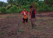 Dukung Program Asta Cita Presiden, Polsek Kuindra Bersama Pemdes Tanjung Melayu Tanam Jagung Serentak