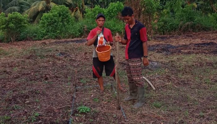 Dukung Program Asta Cita Presiden, Polsek Kuindra Bersama Pemdes Tanjung Melayu Tanam Jagung Serentak