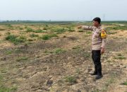 Polsek Tualang Pantau Pertumbuhan Jagung Program Ketahanan Pangan di PT Sir Sei Lukut