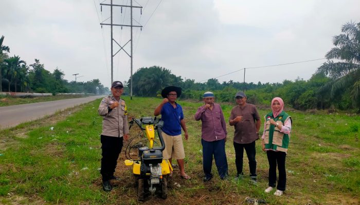 Dukung Ketahanan Pangan, Polsek Tualang Kawal Pengolahan Lahan Jagung 1 Hektare di Kp. Pinang Sebatang