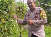 Bhabinkamtibmas Polsek Kuindra Pantau Progres Tanaman Kacang Panjang di Desa Sungai Buluh