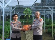 Kapolres Indragiri Hilir Bersama PJU Cek Bank Pohon dan Berikan Hadiah Pohon kepada Personel yang Berulang Tahun